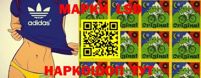 МДПВ Кингисепп