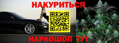 МДПВ Кингисепп