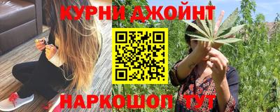 МДПВ Кингисепп
