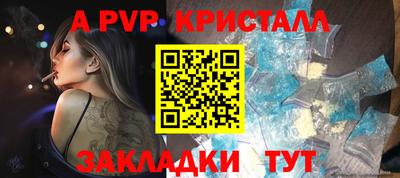 МДПВ Кингисепп