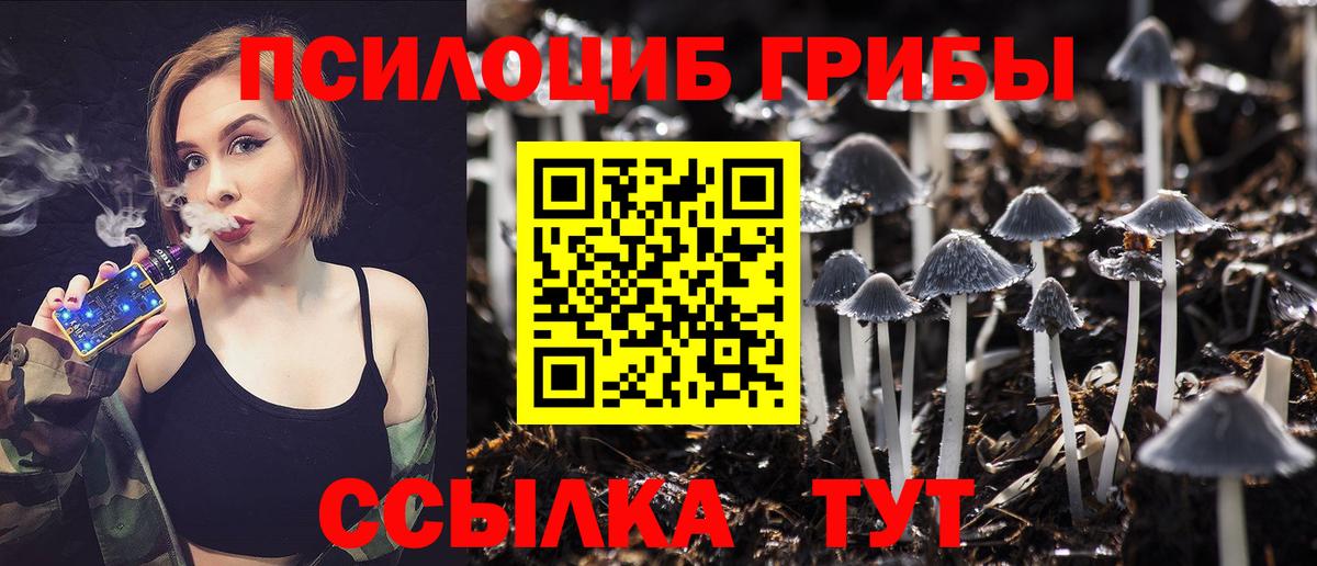 Камышлов  Псилоцибиновые грибы Psilocybe  Псилоцибиновые грибы Psilocybe  дарнет шоп  Вход с VPN 